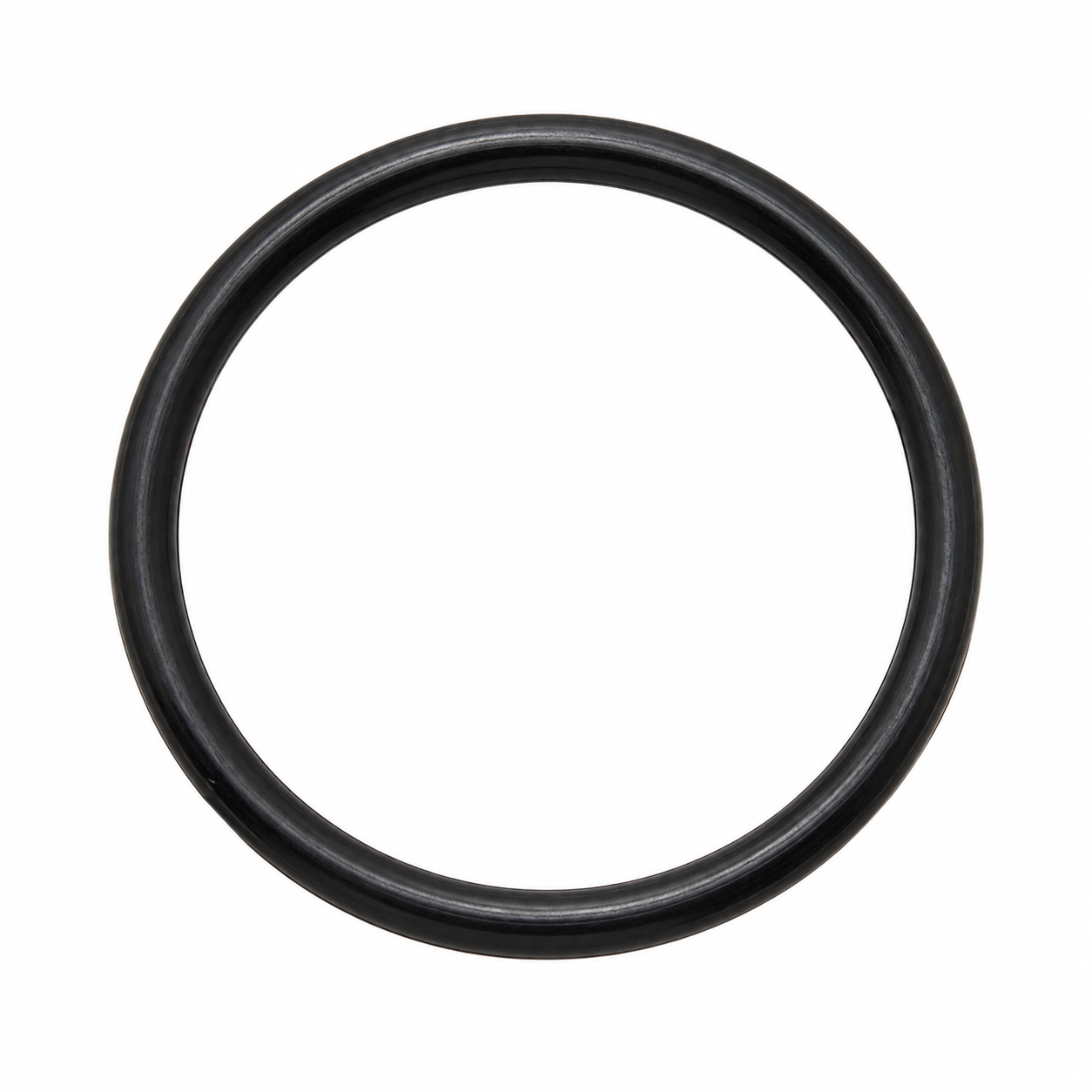 840.900538EL - Fuel Pump O-Ring Sea