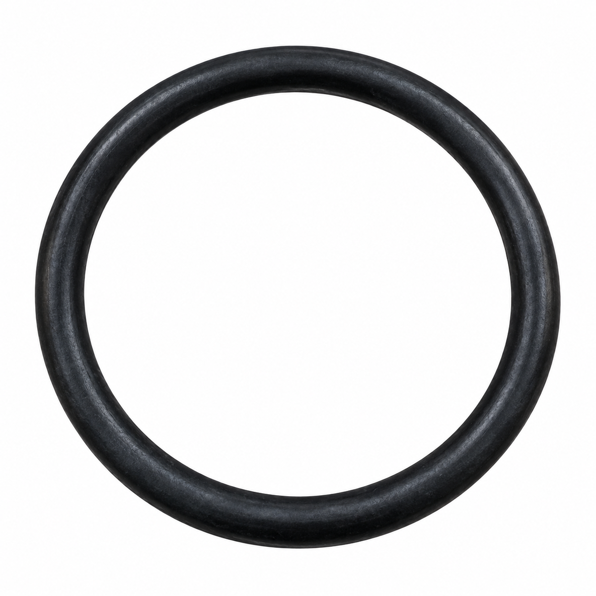572.23008S - O-Ring Seal Detroit