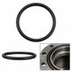180.10618.1 - O-Ring for 180.10618