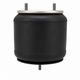 566.ER9807 - Econoride Air Spring