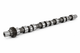 123.282402.01 - Camshaft LH