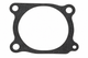 M75144 - Engine Oil Fill Tube