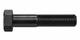 M5423 - Cap Screw Metric