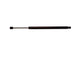 A99618 - Strut Hood Assist Pa
